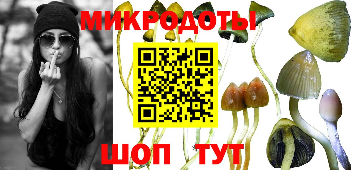 Галлюциногенные грибы Cubensis  Вход с VPN  Обь 
